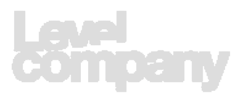 Level company